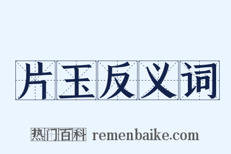 片玉反义词是什么意思的图片